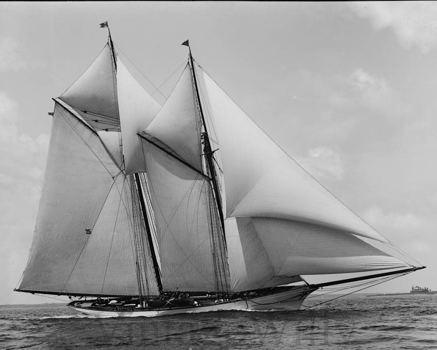classic sailboat schooner